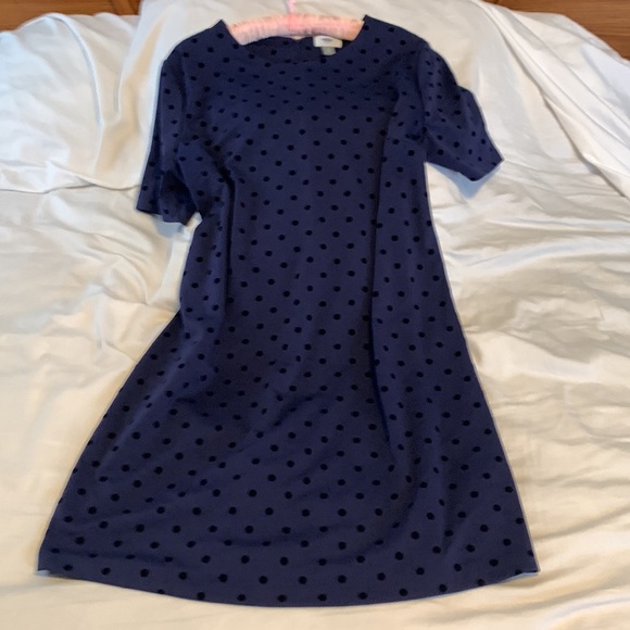 4 for $70.00..Dress, Navy Blue with black polka dots, short sleeves, size XL. - Picture 1 of 7